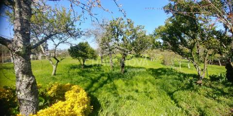 Quinta T4 Venda em Mansores,Arouca