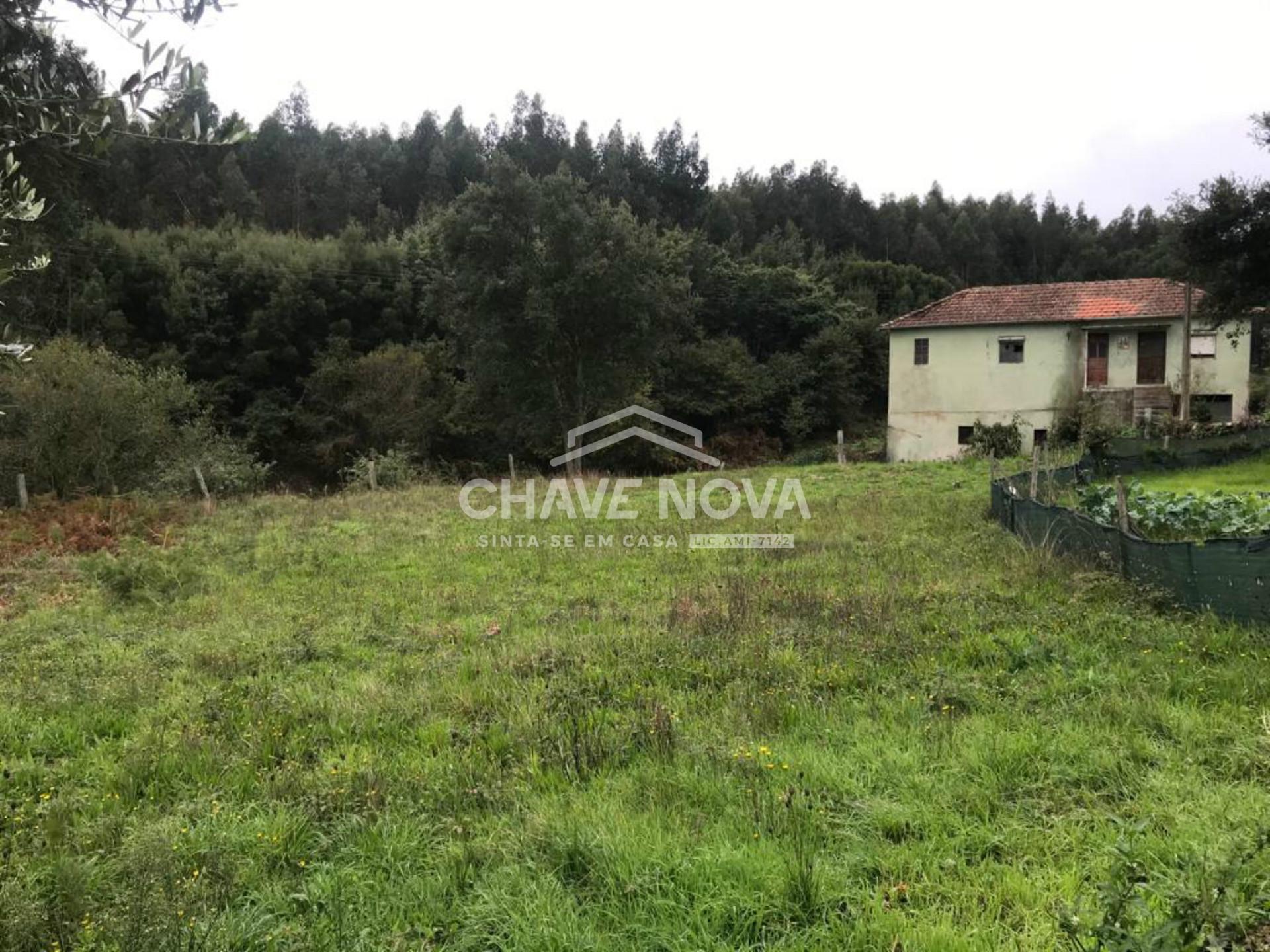 Lote de Terreno  Venda em Canedo, Vale e Vila Maior,Santa Maria da Feira