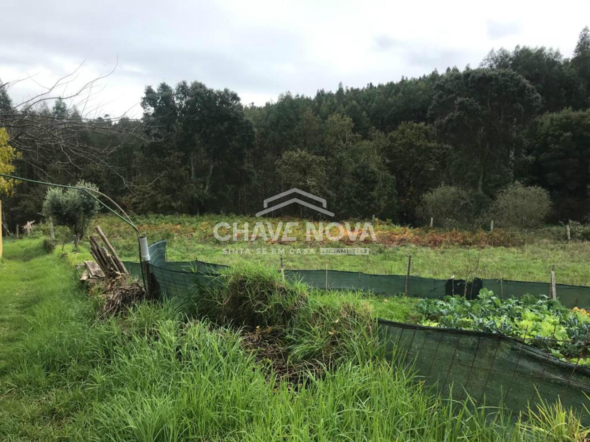 Lote de Terreno  Venda em Canedo, Vale e Vila Maior,Santa Maria da Feira