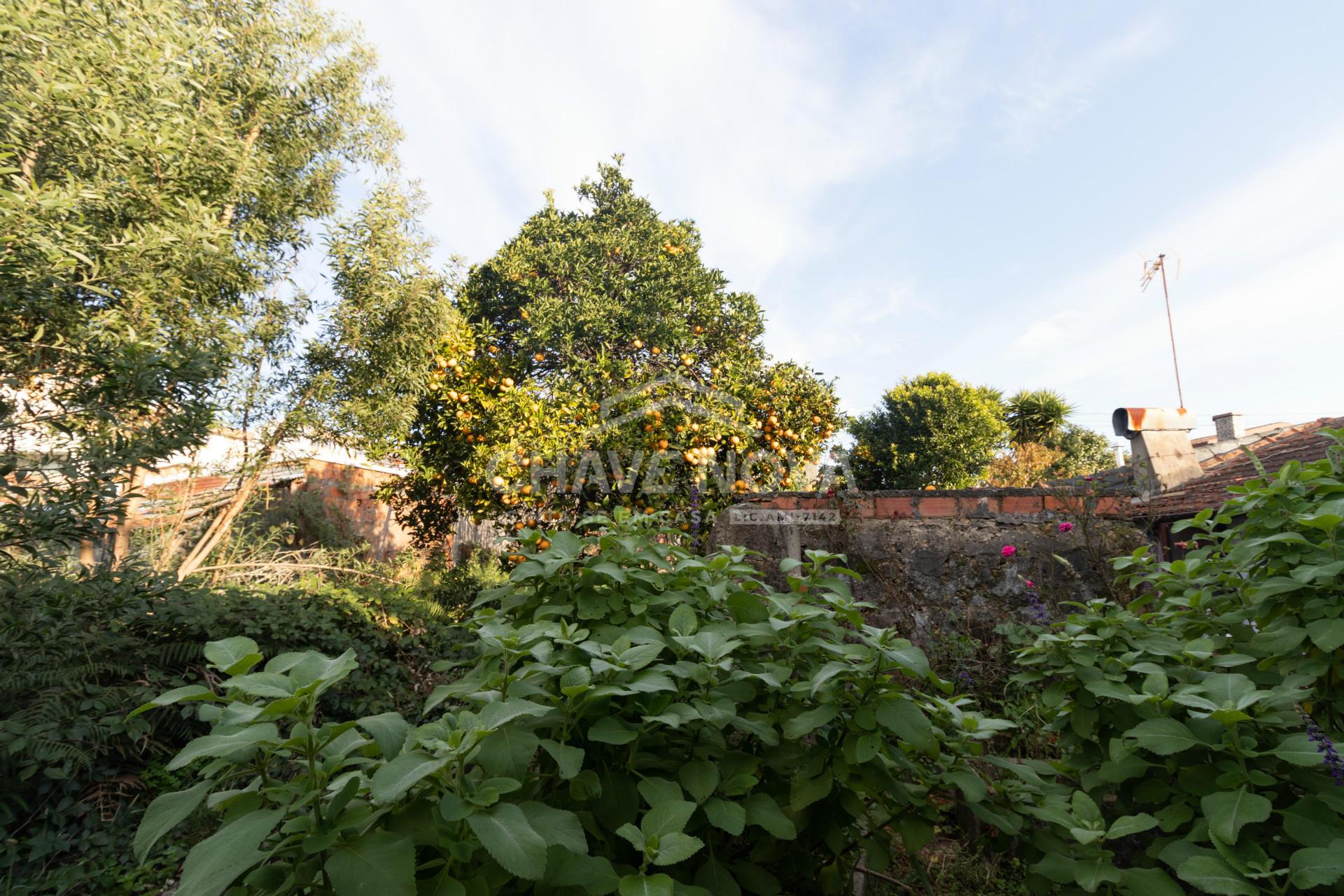 Terreno Para Construção  Venda em Santa Maria da Feira, Travanca, Sanfins e Espargo,Santa Maria da Feira