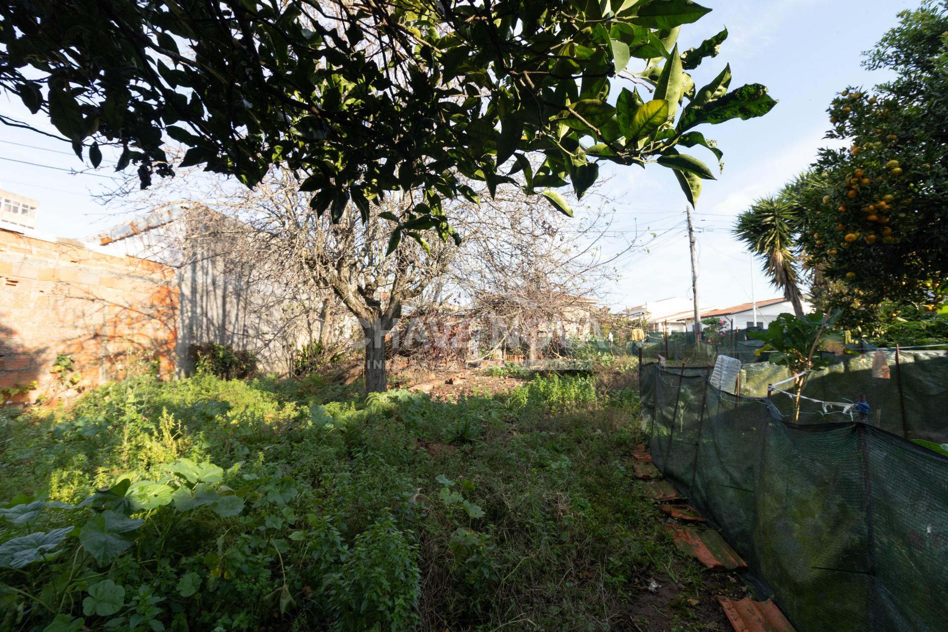 Terreno Para Construção  Venda em Santa Maria da Feira, Travanca, Sanfins e Espargo,Santa Maria da Feira