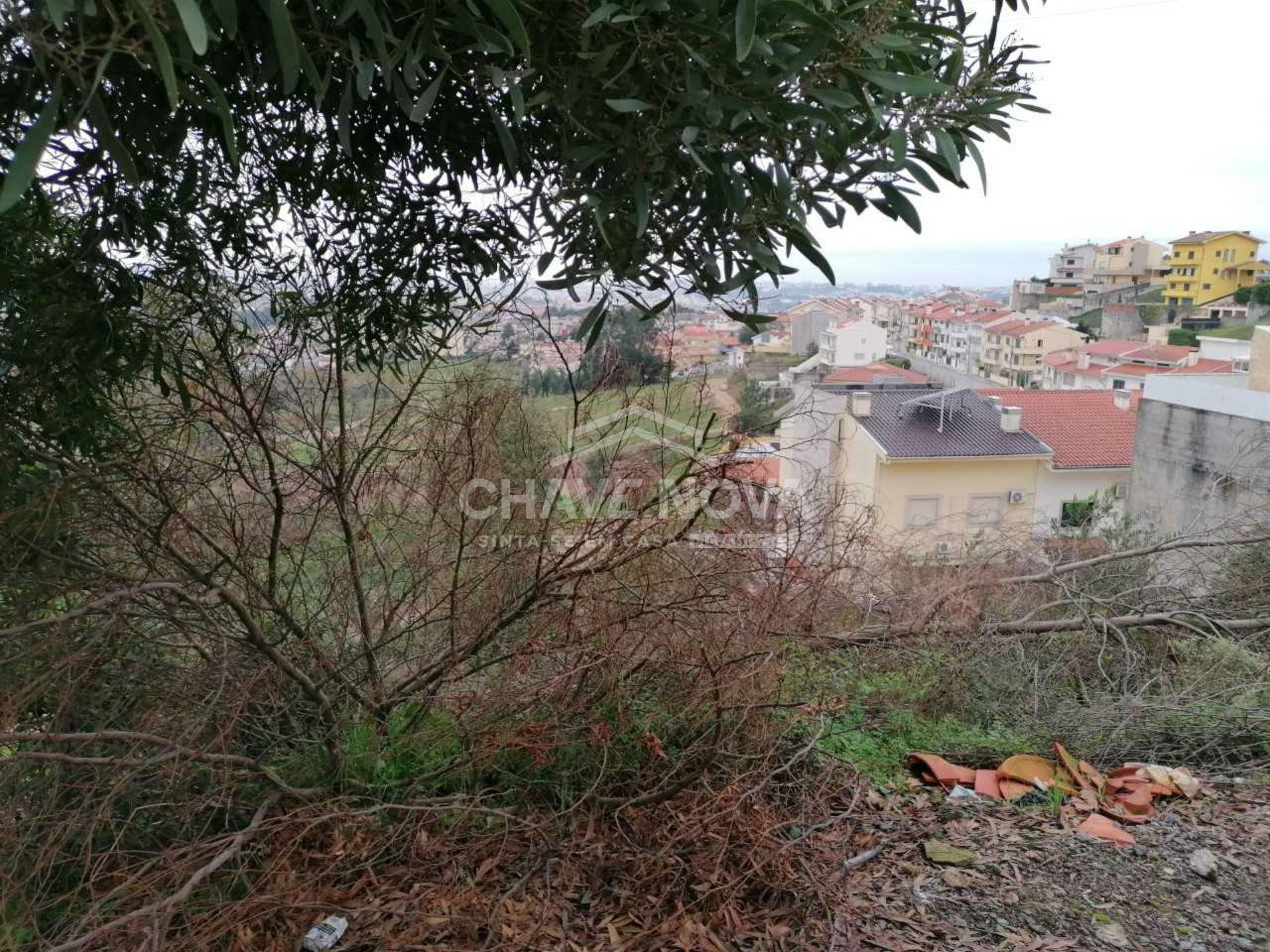 Lote de Terreno  Venda em Fânzeres e São Pedro da Cova,Gondomar