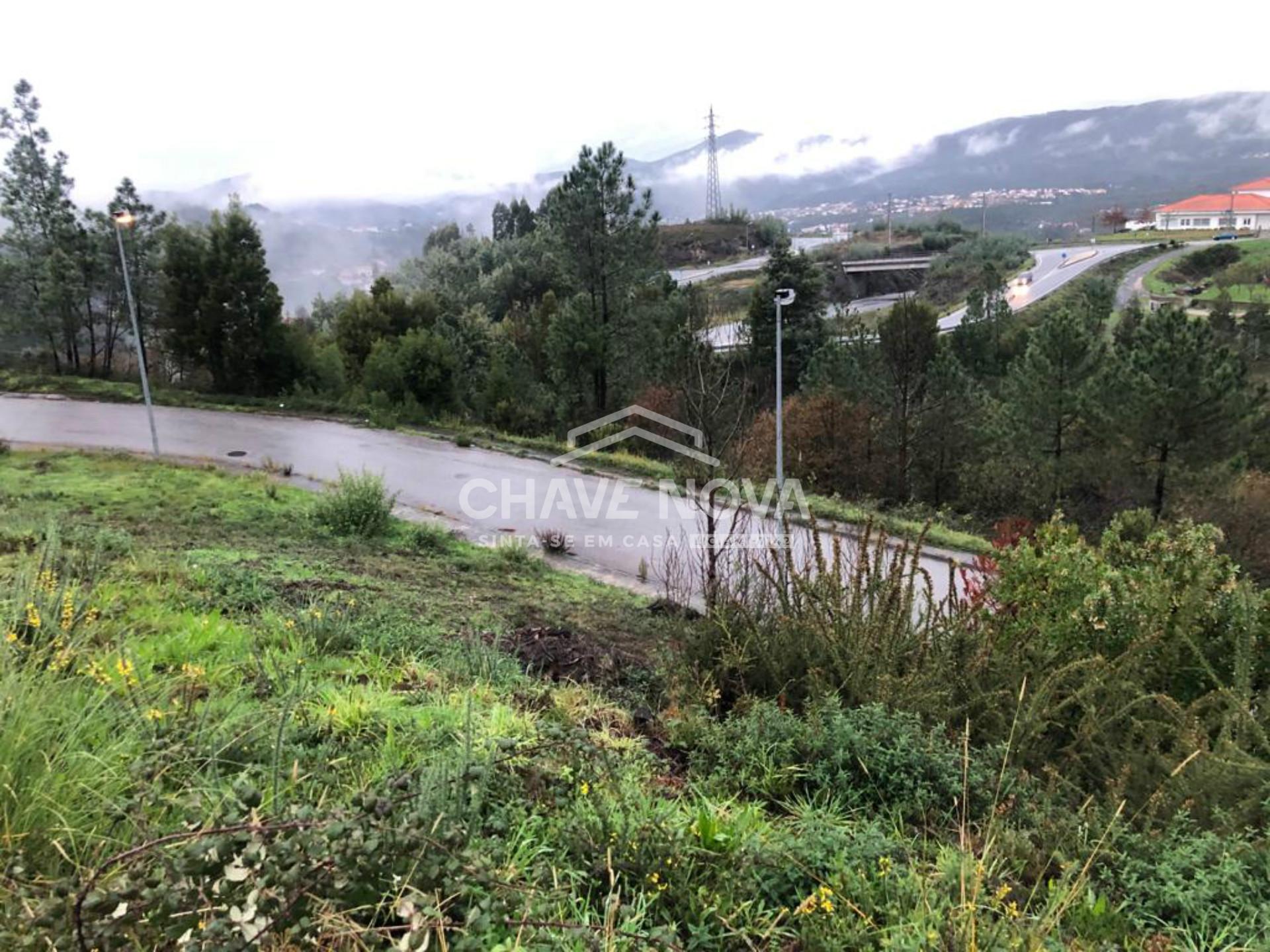 Terreno Urbano  Venda em Raiva, Pedorido e Paraíso,Castelo de Paiva