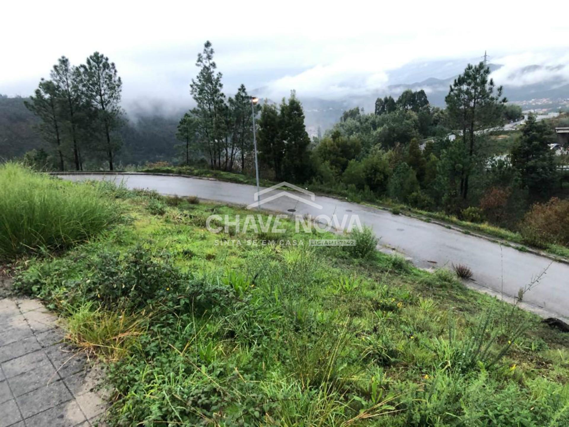 Terreno Urbano  Venda em Raiva, Pedorido e Paraíso,Castelo de Paiva