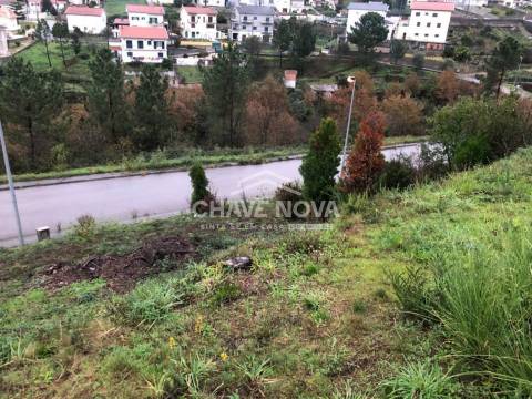 Terreno Urbano  Venda em Raiva, Pedorido e Paraíso,Castelo de Paiva