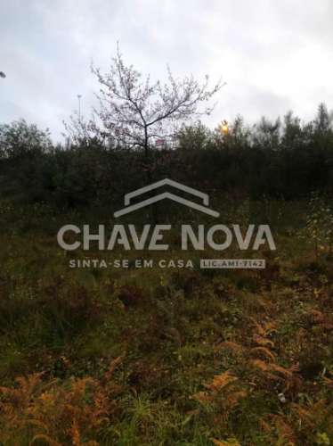 Terreno Urbano  Venda em Raiva, Pedorido e Paraíso,Castelo de Paiva