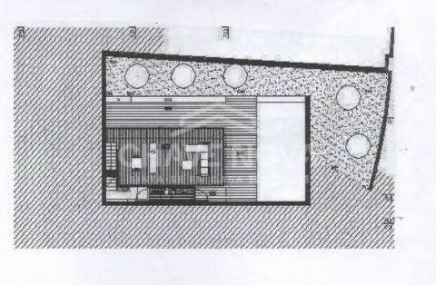 Lote de Terreno  Venda em Pinheiro da Bemposta, Travanca e Palmaz,Oliveira de Azeméis