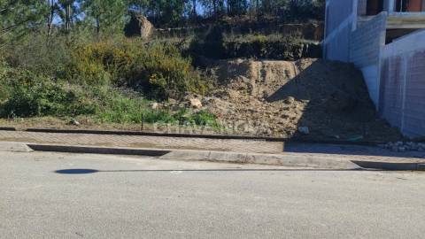 Lote de Terreno  Venda em Pinheiro da Bemposta, Travanca e Palmaz,Oliveira de Azeméis