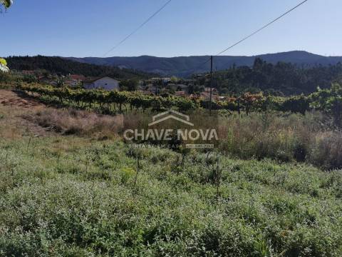 Terreno Rústico  Venda em Canelas e Espiunca,Arouca