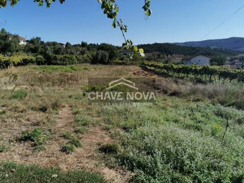 Terreno Rústico  Venda em Canelas e Espiunca,Arouca