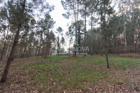 Lote de Terreno  Venda em Caldas de São Jorge e Pigeiros,Santa Maria da Feira