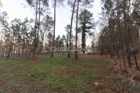 Lote de Terreno  Venda em Caldas de São Jorge e Pigeiros,Santa Maria da Feira