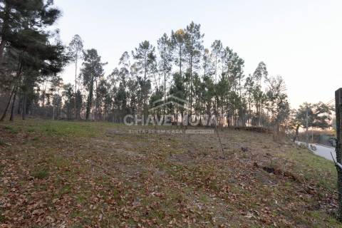 Lote de Terreno  Venda em Caldas de São Jorge e Pigeiros,Santa Maria da Feira