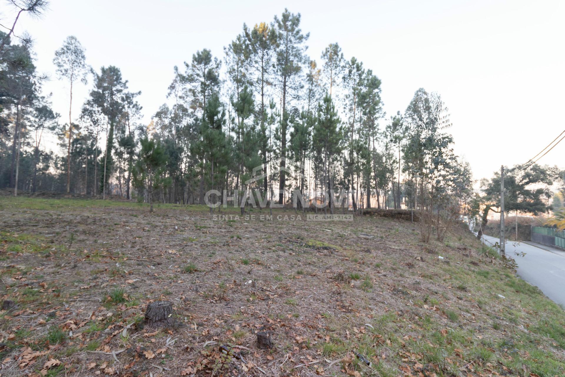 Lote de Terreno  Venda em Caldas de São Jorge e Pigeiros,Santa Maria da Feira