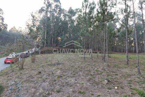 Lote de Terreno  Venda em Caldas de São Jorge e Pigeiros,Santa Maria da Feira