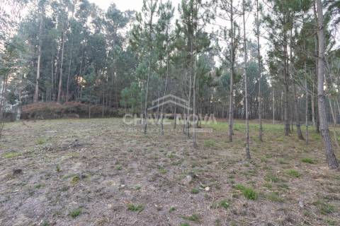 Lote de Terreno  Venda em Caldas de São Jorge e Pigeiros,Santa Maria da Feira