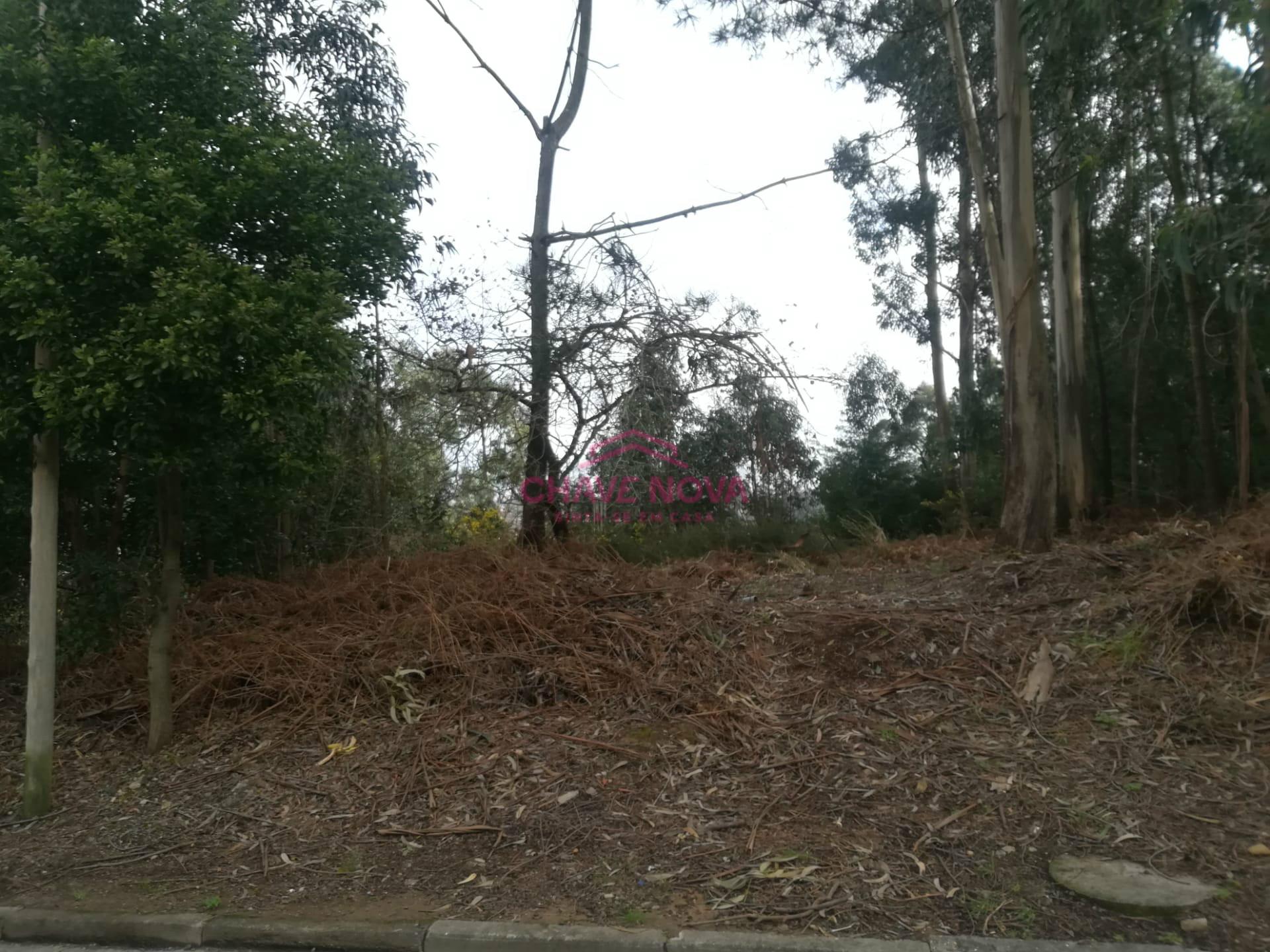 Lote de Terreno  Venda em Gulpilhares e Valadares,Vila Nova de Gaia