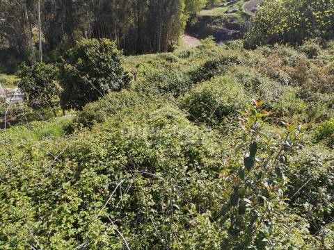 Moradia Isolada T4 Venda em Sousela,Lousada