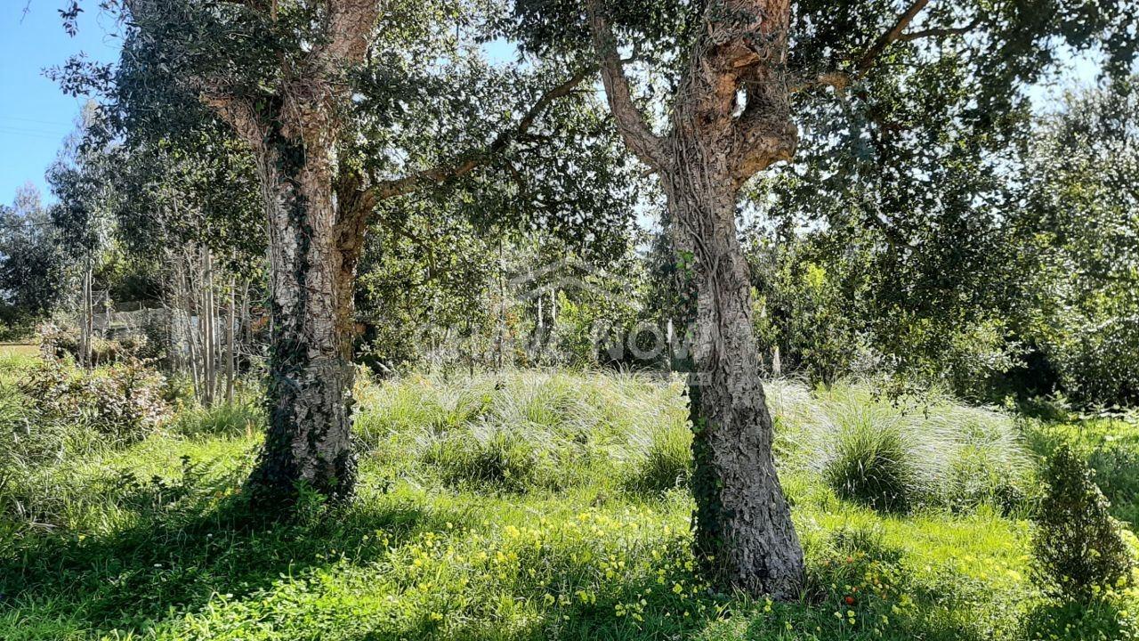 Terreno Para Construção, Porto, Vila Nova de Gaia, Arcozelo