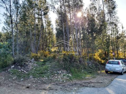 Terreno Rústico  Venda em Nespereira,Cinfães