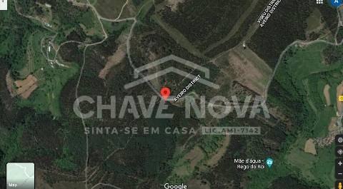 Terreno Rústico  Venda em Nespereira,Cinfães