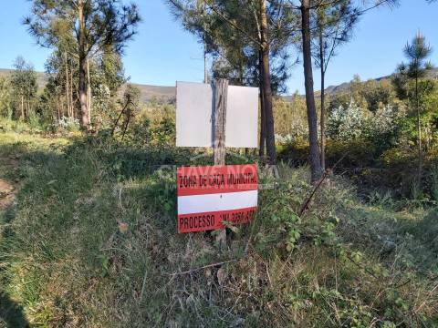 Terreno Rústico  Venda em Nespereira,Cinfães