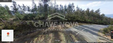 Terreno Rústico  Venda em Nespereira,Cinfães