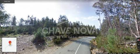 Terreno Rústico  Venda em Nespereira,Cinfães