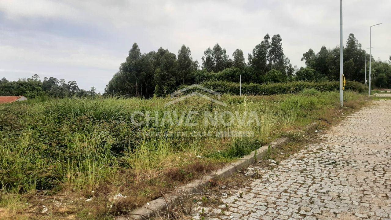 Terreno Urbano  Venda em Grijó e Sermonde,Vila Nova de Gaia