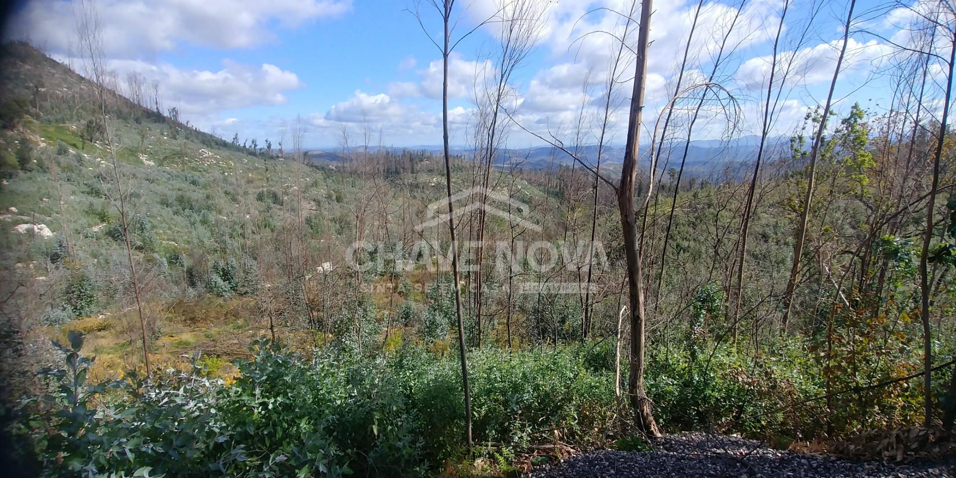 Lote de Terreno  Venda em Escariz,Arouca