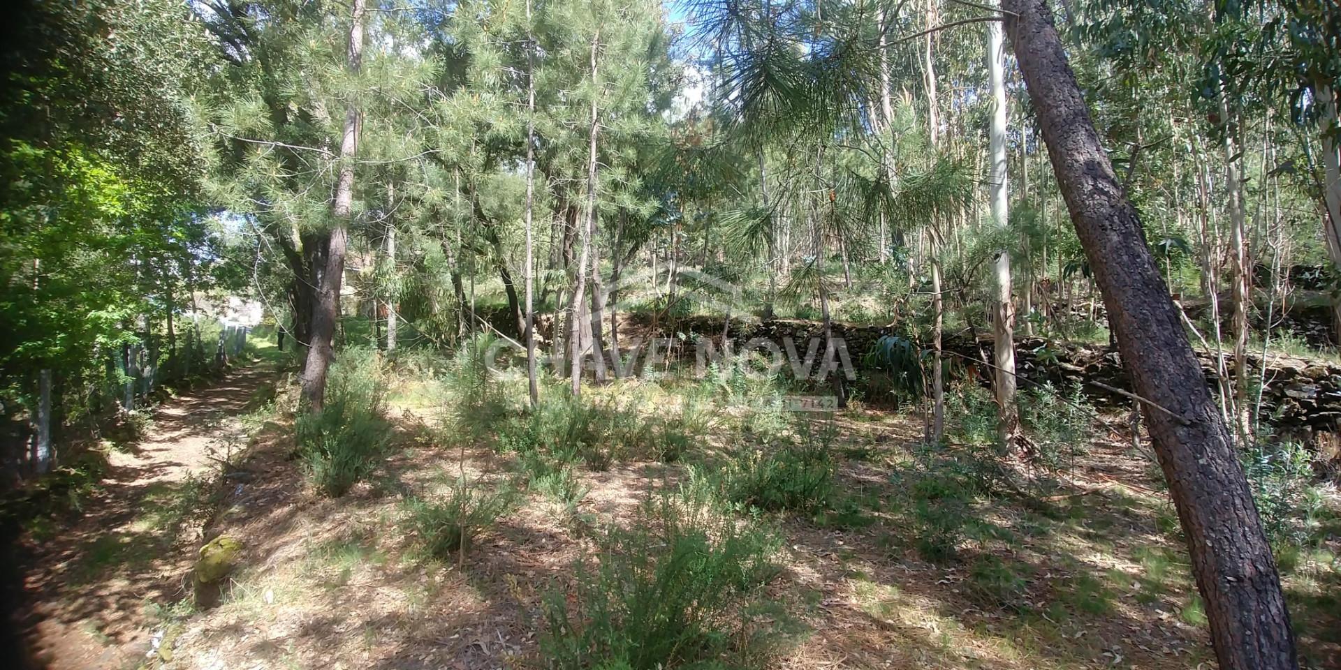 Lote de Terreno  Venda em Mansores,Arouca