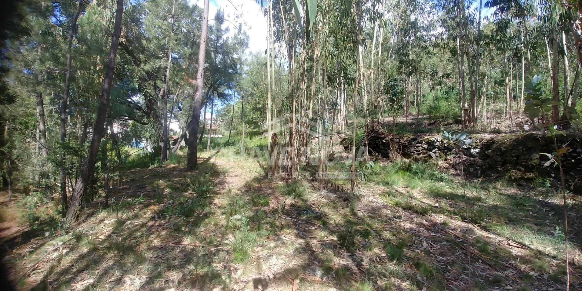 Lote de Terreno  Venda em Mansores,Arouca