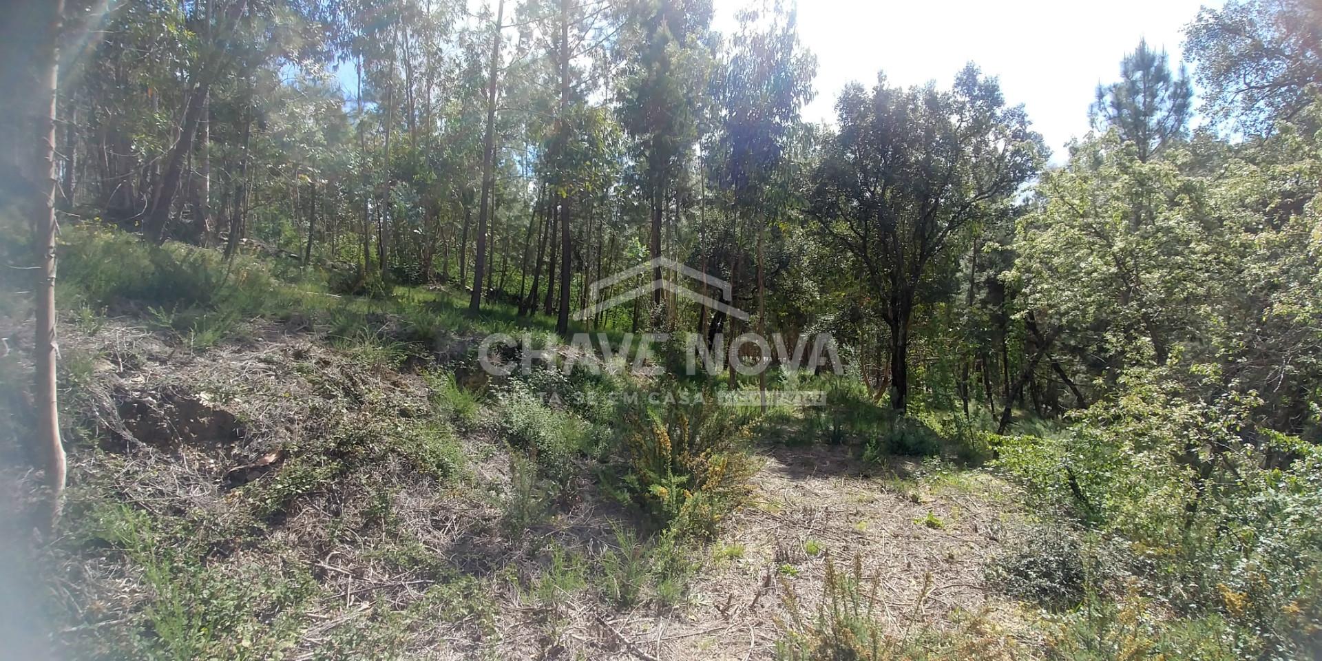 Lote de Terreno  Venda em Mansores,Arouca