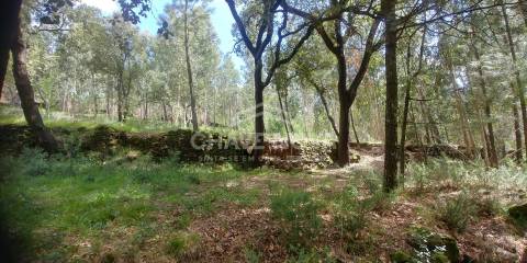 Lote de Terreno  Venda em Mansores,Arouca
