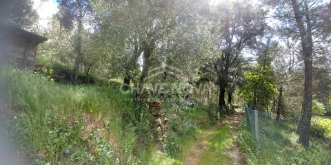 Lote de Terreno  Venda em Mansores,Arouca