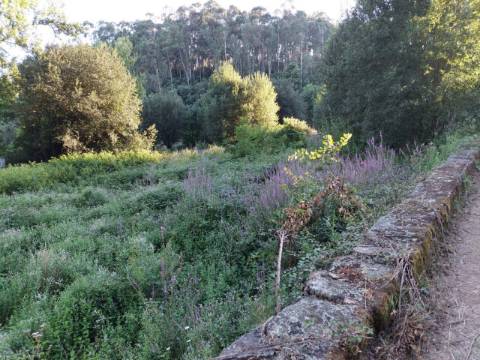 Terreno Rústico  Venda em Sandim, Olival, Lever e Crestuma,Vila Nova de Gaia