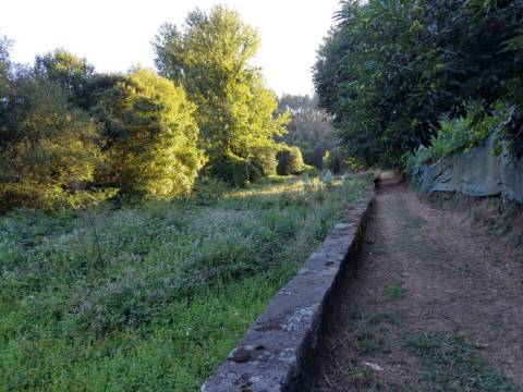 Terreno Rústico  Venda em Sandim, Olival, Lever e Crestuma,Vila Nova de Gaia