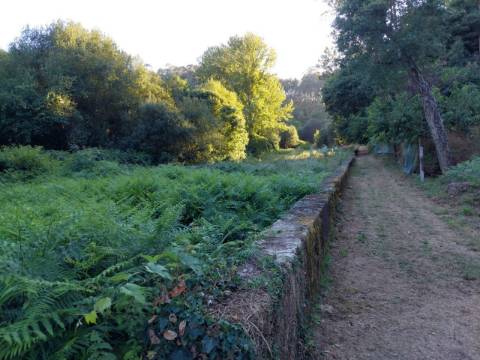 Terreno Rústico  Venda em Sandim, Olival, Lever e Crestuma,Vila Nova de Gaia