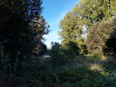 Terreno Rústico  Venda em Sandim, Olival, Lever e Crestuma,Vila Nova de Gaia