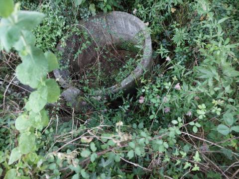 Terreno Rústico  Venda em Sandim, Olival, Lever e Crestuma,Vila Nova de Gaia