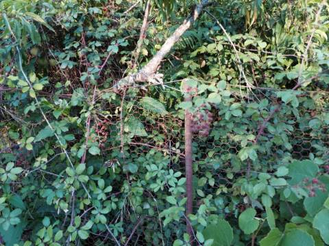 Terreno Rústico  Venda em Sandim, Olival, Lever e Crestuma,Vila Nova de Gaia