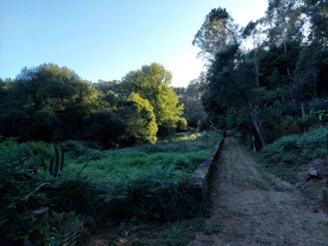 Terreno Rústico  Venda em Sandim, Olival, Lever e Crestuma,Vila Nova de Gaia