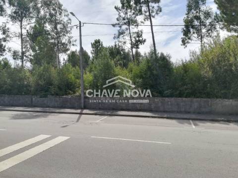 Lote de Terreno  Venda em Santa Maria da Feira, Travanca, Sanfins e Espargo,Santa Maria da Feira