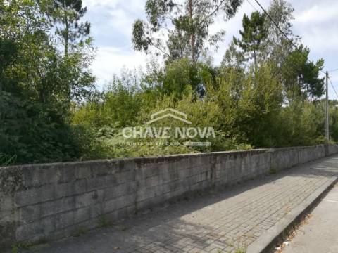 Lote de Terreno  Venda em Santa Maria da Feira, Travanca, Sanfins e Espargo,Santa Maria da Feira