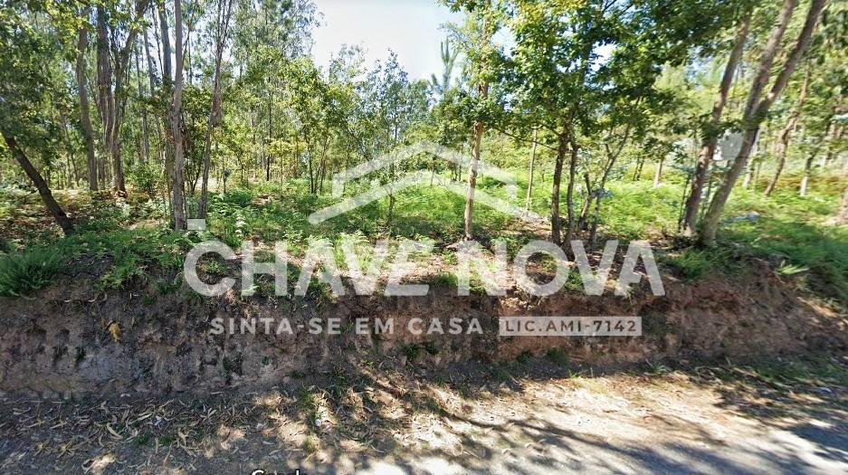 Lote Industrial  Venda em Vila de Cucujães,Oliveira de Azeméis