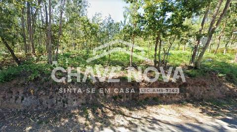 Lote Industrial  Venda em Vila de Cucujães,Oliveira de Azeméis