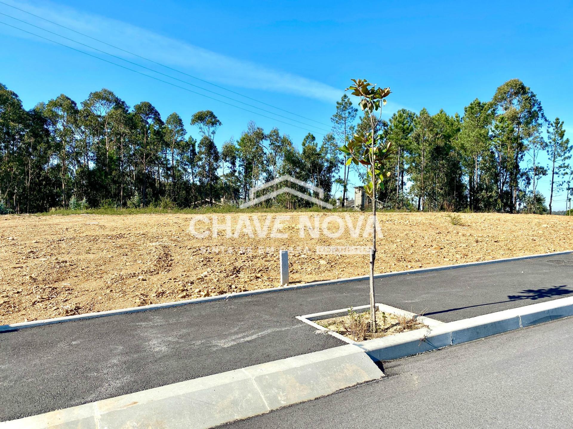 Lote de Terreno  Venda em Santa Maria da Feira, Travanca, Sanfins e Espargo,Santa Maria da Feira