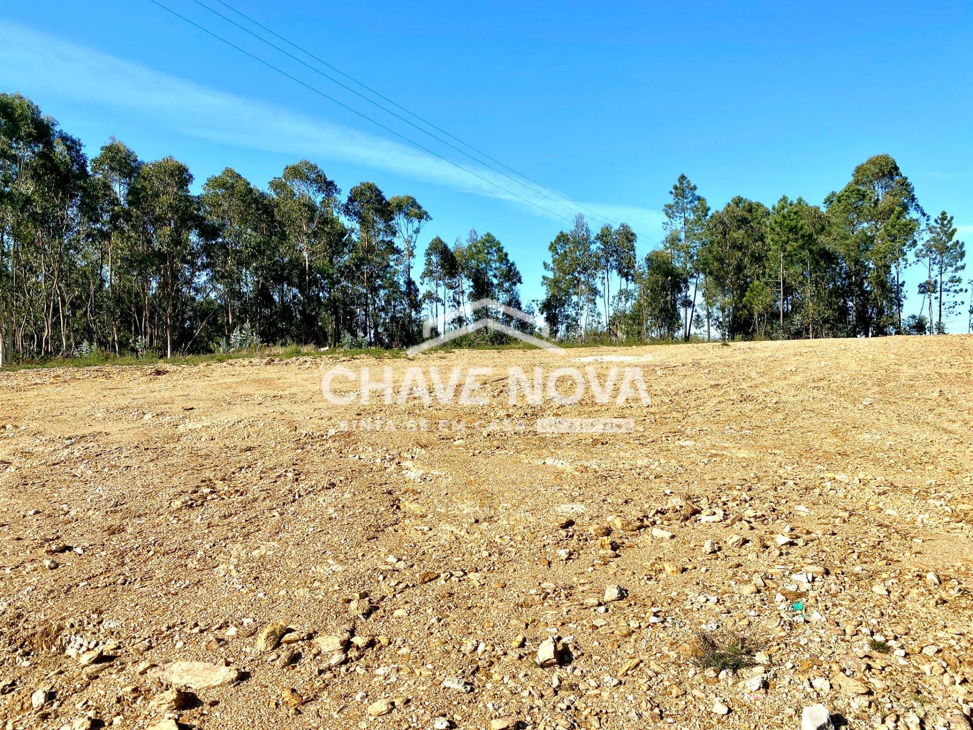 Lote de Terreno  Venda em Santa Maria da Feira, Travanca, Sanfins e Espargo,Santa Maria da Feira