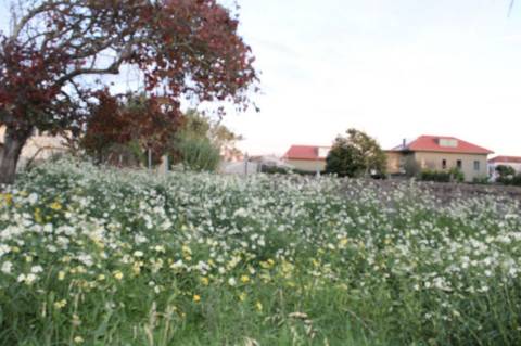 Herdade T4 Venda em Arcozelo,Vila Nova de Gaia