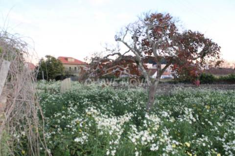 Herdade T4 Venda em Arcozelo,Vila Nova de Gaia